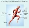 PRP TEDAVİSİNDEN YARARLANAN YAYGIN SPOR YARALANMALARI